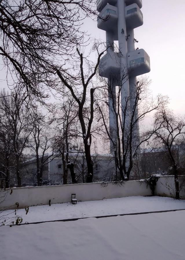 Apartment Sense Of Zizkov Prag Dış mekan fotoğraf